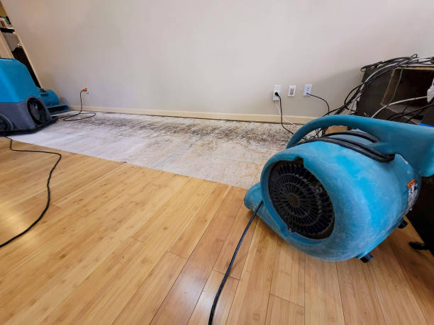Reliable Basement Flood Cleanup contractor in Louisville, MS by Hirex Water Damage