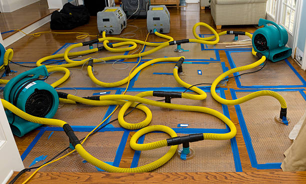 Professional Basement Flood Cleanup technician working in Louisville, MS